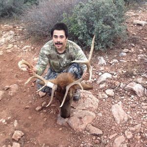 Meet your Posher, Jesse